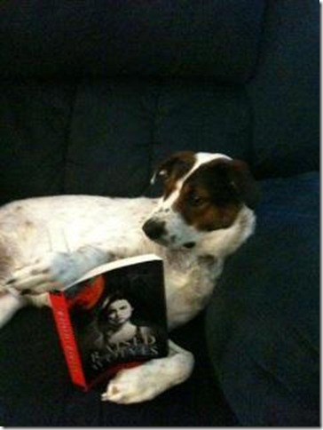 BITW Dog Reading Raised by Wolves